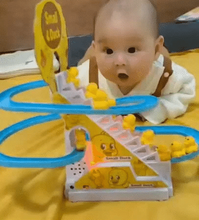 Fun Duck Slide Toy Set